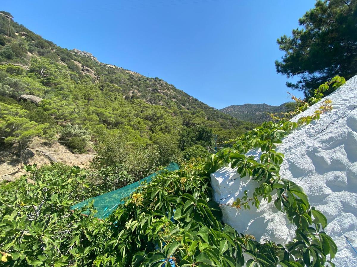 Oleander's Garden Traditional Cretan Cottage Ferma Exteriör bild