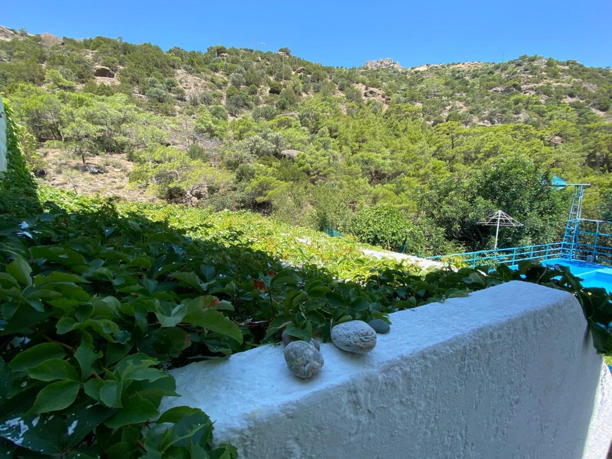 Oleander's Garden Traditional Cretan Cottage Ferma Exteriör bild