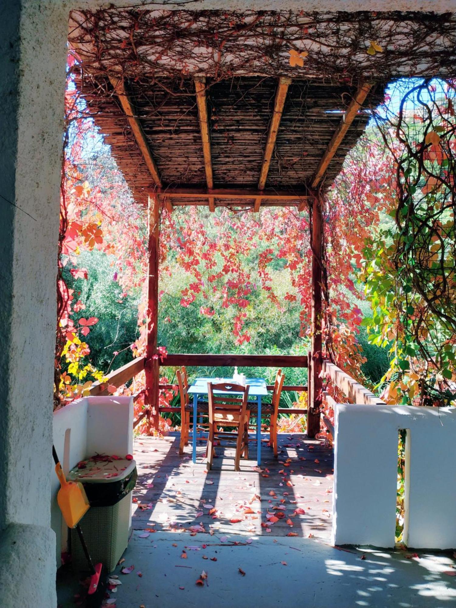 Oleander's Garden Traditional Cretan Cottage Ferma Exteriör bild