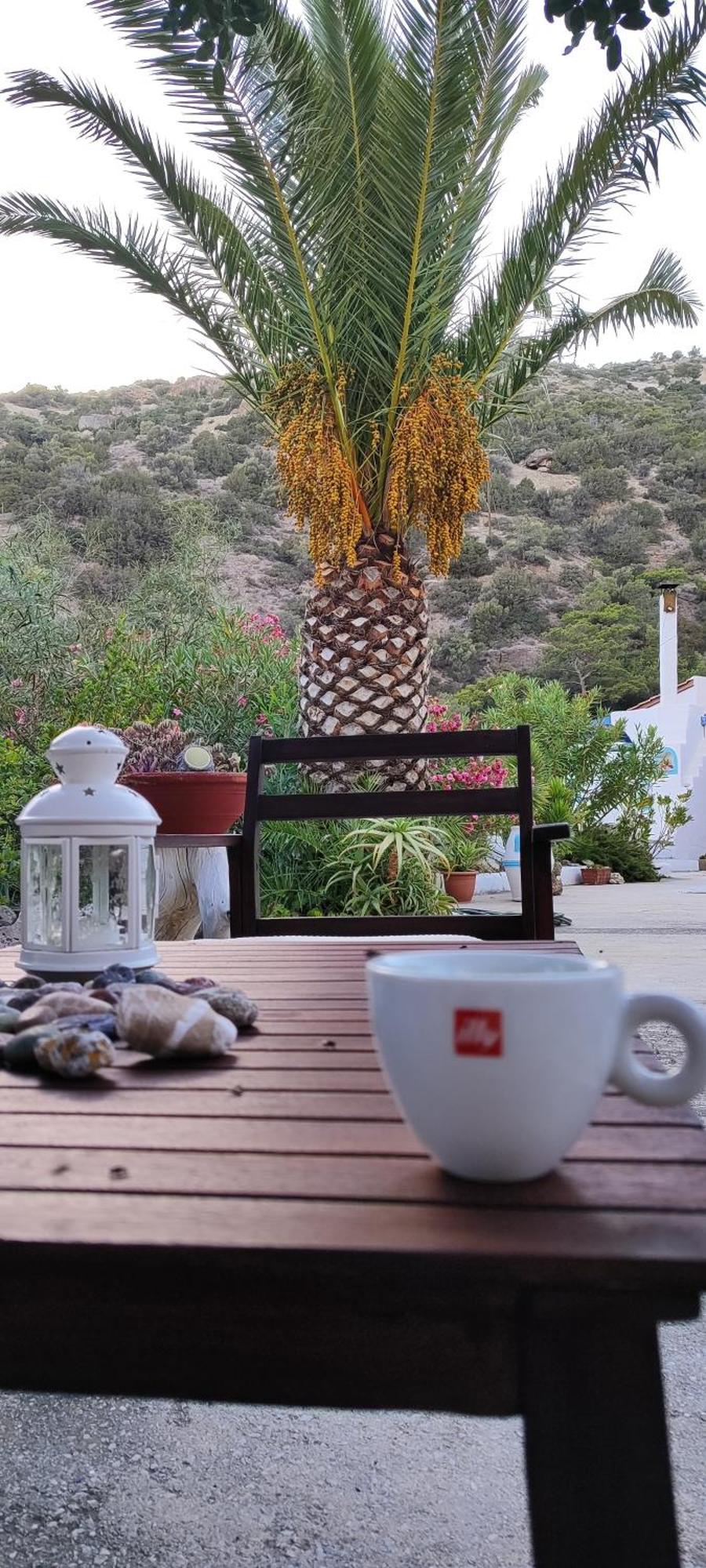 Oleander's Garden Traditional Cretan Cottage Ferma Exteriör bild